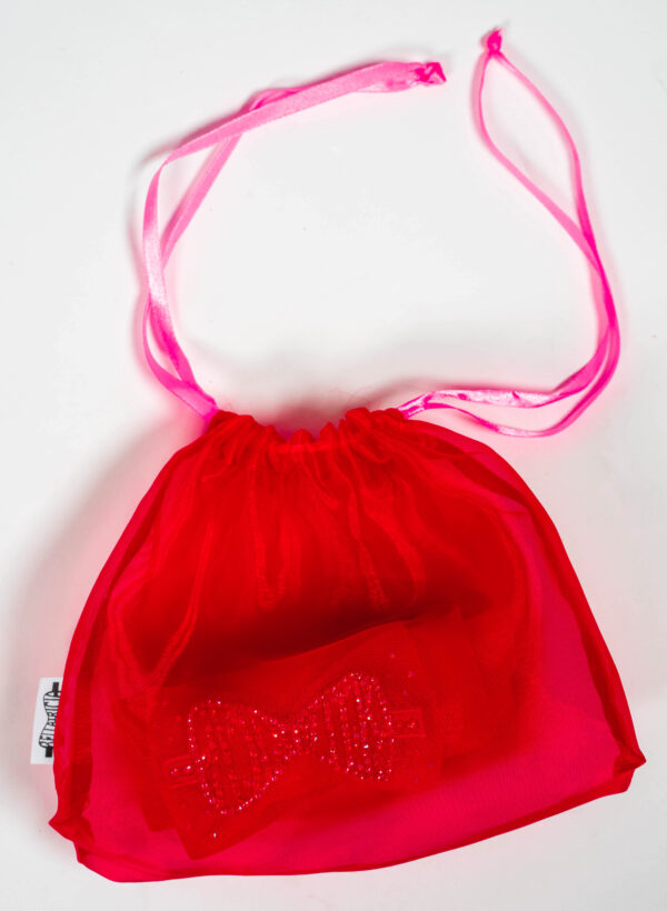 ⋈ RED CHIFFON ⋈ Bag