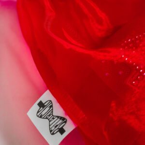 ⋈ RED CHIFFON ⋈ Bag - Image 2